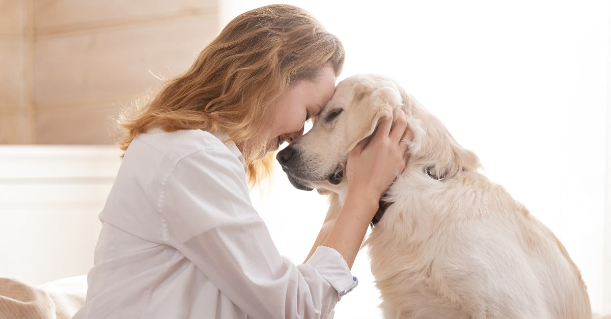 structured dog walk in boulder colorado improves bond